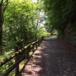 15.6.1玉置(2)