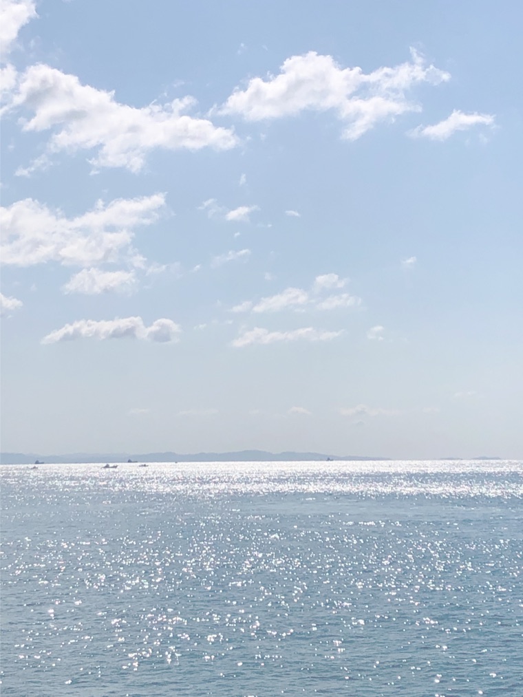 海の写真