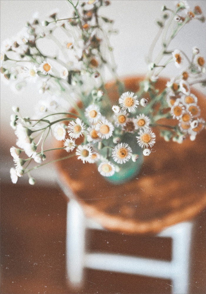 花の写真